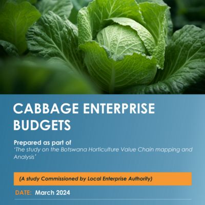 Enterprise Budget 1