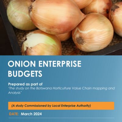 Enterprise Budget 2