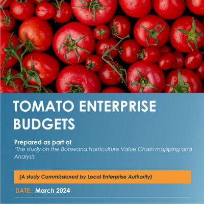 Enterprise Budget 5